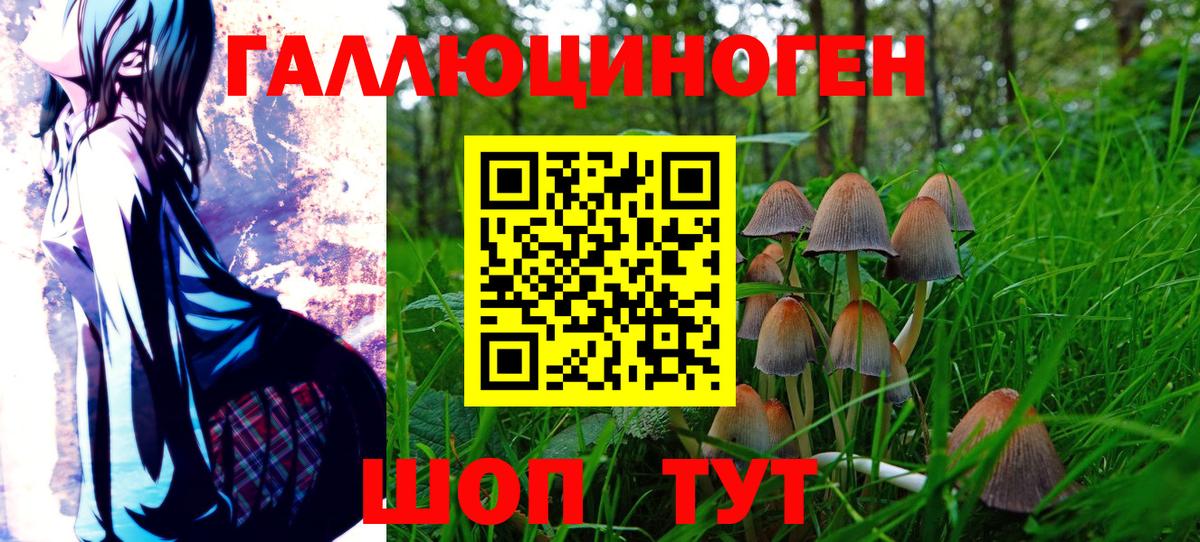 Алейск  Галлюциногенные грибы Psilocybine cubensis  купить наркотик  Вход с VPN 